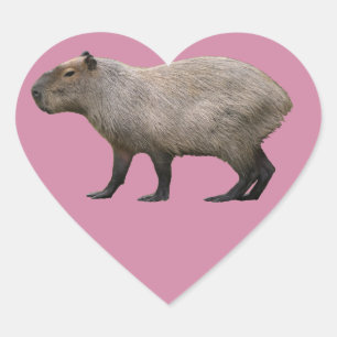 Pegatina En Forma De Corazón Capibara