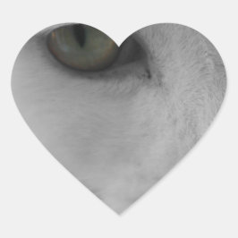 Pegatina En Forma De Corazón Cara de gatos negros y blancos