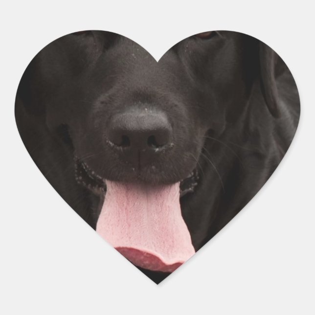 Pegatina En Forma De Corazón Cara de perro negro (Anverso)
