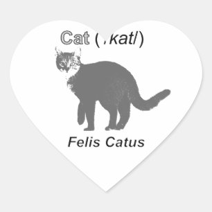 Pegatina En Forma De Corazón Cat Felis Catus