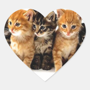 PEGATINA EN FORMA DE CORAZÓN CATS