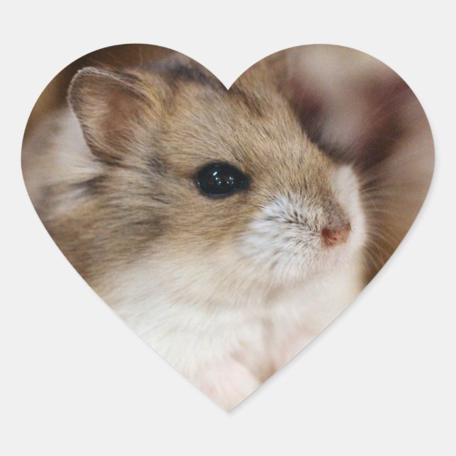 Pegatina En Forma De Corazón Chibby (Anverso)