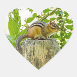 Pegatina En Forma De Corazón Chipmunk en un post sobre la cerca
