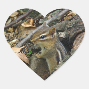 Pegatina En Forma De Corazón Chipmunk oriental - Tamias striatus