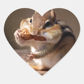 Pegatina En Forma De Corazón Chipmunk relleno su cara