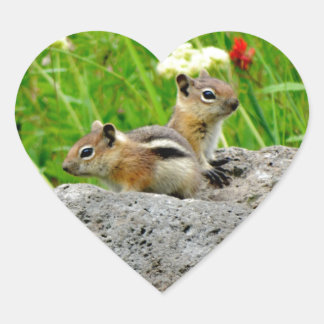 Pegatina En Forma De Corazón Chipmunks y flores silvestres