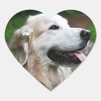 Pegatina En Forma De Corazón CHO CHO Hoja de pegatinas