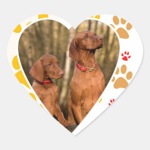 Pegatina En Forma De Corazón Chocolate Labrador Recuperador Corazón de Perro Pa