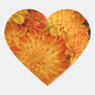 Pegatina En Forma De Corazón Chrysanthemum, Naranja de incendios
