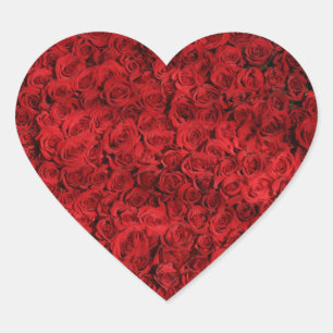Pegatina En Forma De Corazón Cientos de hermosas rosas rojas