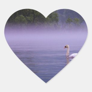Pegatina En Forma De Corazón Cisne en el lago