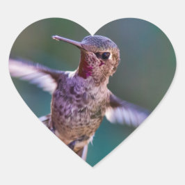 Pegatina En Forma De Corazón Colibrí