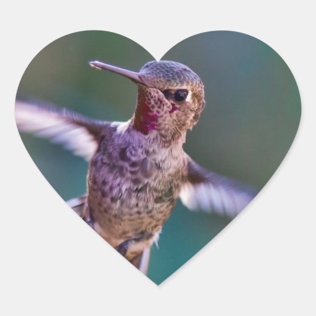 Pegatina En Forma De Corazón Colibrí (Anverso)