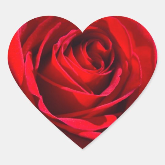 Pegatina En Forma De Corazón Color de rosa de color rojo oscuro del corazón  | Zazzle.es