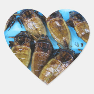 Pegatina En Forma De Corazón Comida asiática gigante frita del insecto de agua