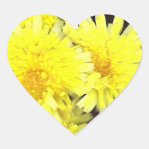 Corazón de flores silvestres amarillas