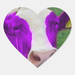 Pegatina En Forma De Corazón corazón púrpura de la vaca