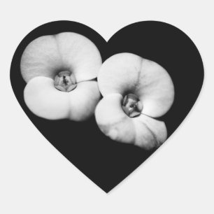 Pegatina En Forma De Corazón corona de espinas
