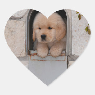 Pegatina En Forma De Corazón Correo gráfico