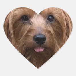 Pegatina En Forma De Corazón Crea tu propio Personalizado de fotos de perro Mas
