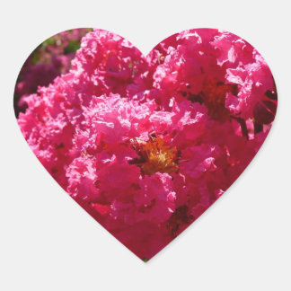 Pegatina En Forma De Corazón Crepe Myrtle Tree Magenta Floral