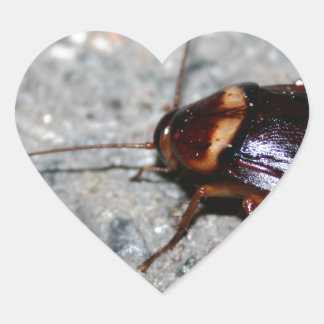 Pegatina En Forma De Corazón ¡Cucaracha!