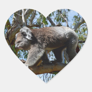 Pegatina En Forma De Corazón Cuidadosamente australiano Koala caminando a lo la