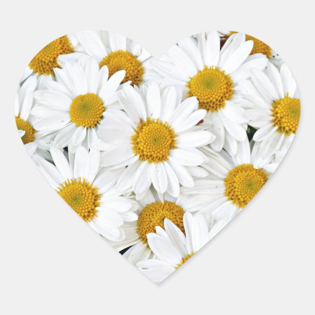 Pegatina En Forma De Corazón Daisies (Anverso)