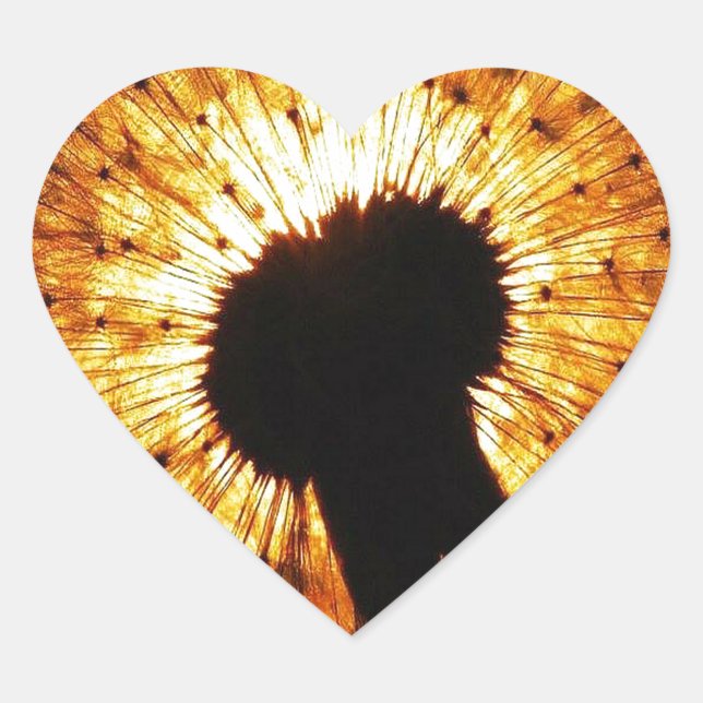 Pegatina En Forma De Corazón Dandelion al atardecer (Anverso)