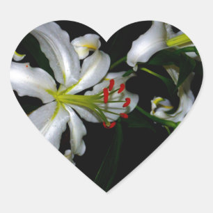 Pegatina En Forma De Corazón Diseño irlandés de Brass y Flores