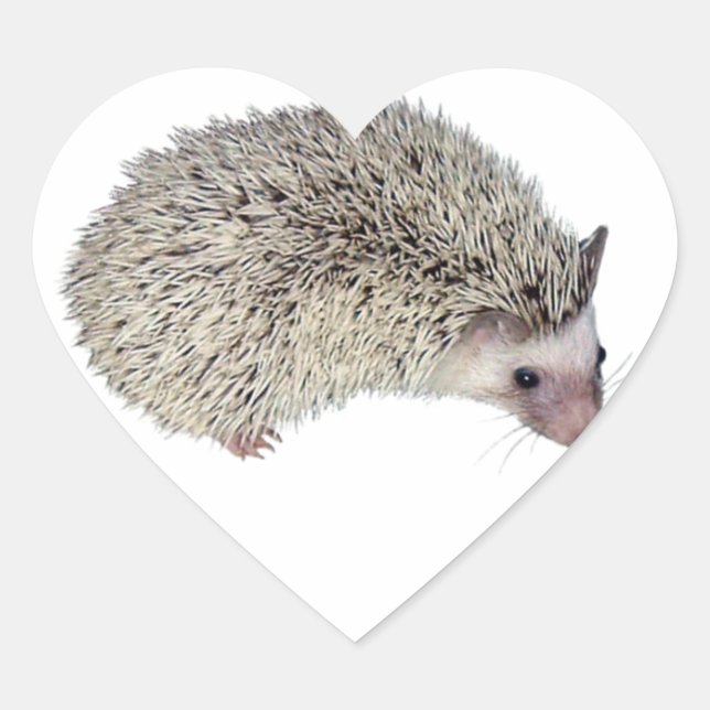 Pegatina En Forma De Corazón DIY Hedgehog derecho (Anverso)