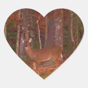 Pegatina En Forma De Corazón Doe a Deer in Lake Arrowhead