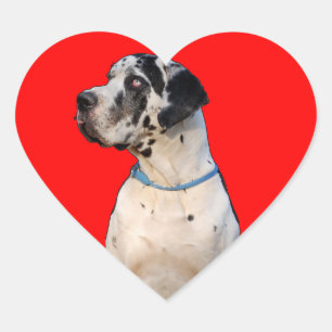 Pegatina En Forma De Corazón Dogo manchado