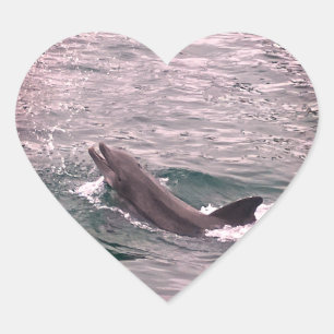 PEGATINA EN FORMA DE CORAZÓN DOLPHIN