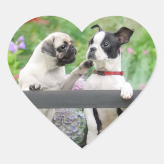 Pegatina En Forma De Corazón Dos perros un cachorro de cachorro y Boston Terrie