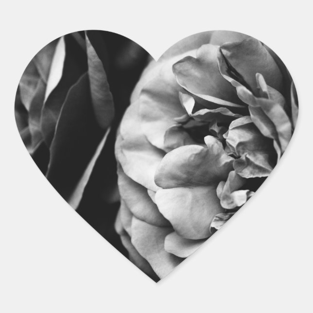 Pegatina En Forma De Corazón dos rosas (Anverso)