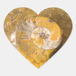 Pegatina En Forma De Corazón El amonita y otros fósiles en la fotografía de roc