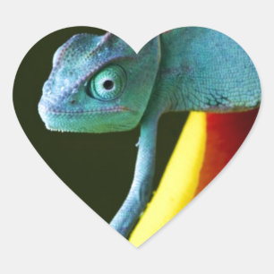 Pegatina En Forma De Corazón El asombroso Chameleon