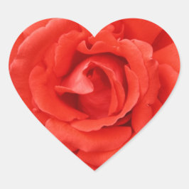 Pegatina En Forma De Corazón El día de San Valentín de rosa rojo