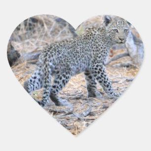 Pegatina En Forma De Corazón El Leopardo Cutáneo En El Prowl