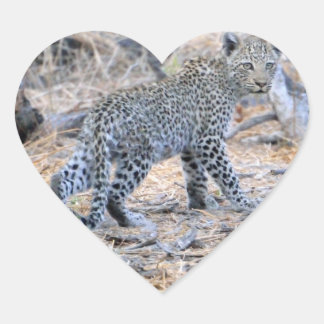 Pegatina En Forma De Corazón El Leopardo Cutáneo En El Prowl