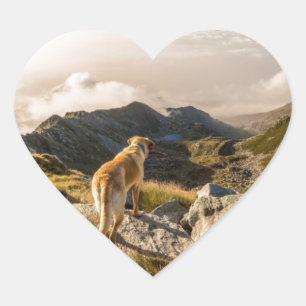 Pegatina En Forma De Corazón El viaje