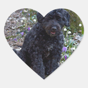 Pegatina En Forma De Corazón Español de Black English Springer