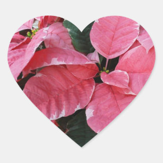 Pegatina En Forma De Corazón Estrella plateada de mármol Poinsettias Flor de va