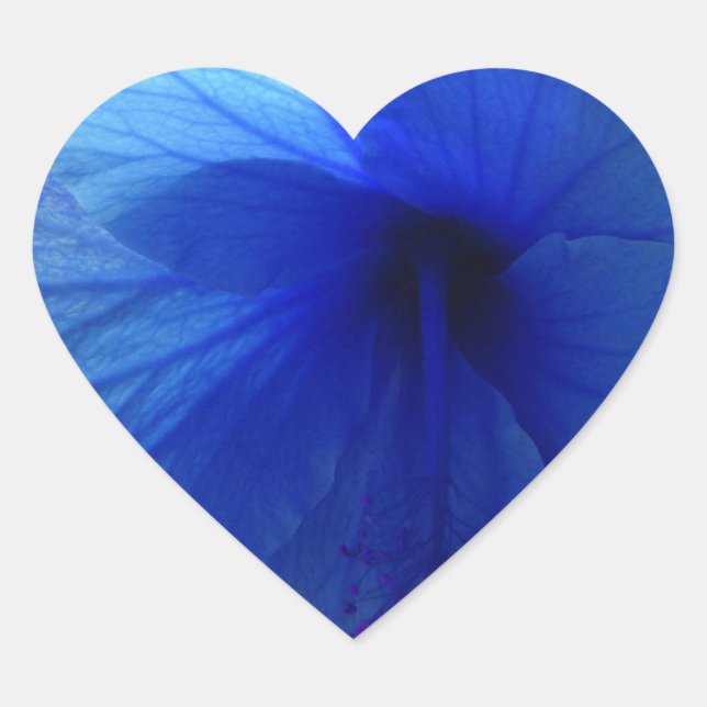Pegatina En Forma De Corazón Flor azul hibiscus (Anverso)