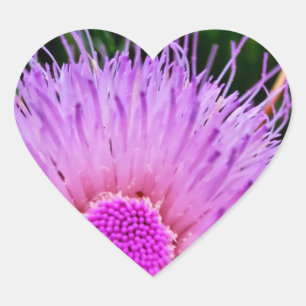 Pegatina En Forma De Corazón Flor morada y rosa
