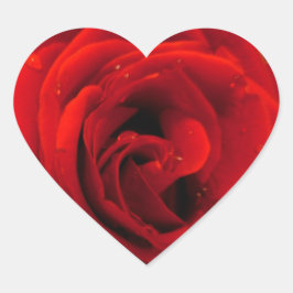 Pegatina En Forma De Corazón Flor rosa roja