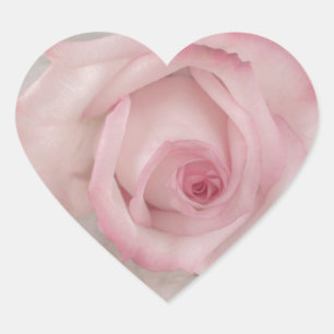 Pegatina En Forma De Corazón Flor rosa suave