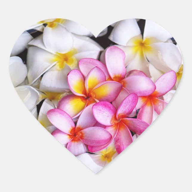 Pegatina En Forma De Corazón Floral (Anverso)