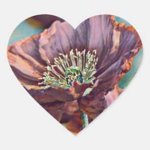 Pegatina En Forma De Corazón Flores de amapola roja naranja púrpura acuarela